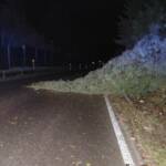 Kaminbrand startet Einsatzmarathon