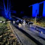 Kaminbrand startet Einsatzmarathon