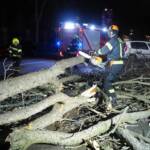 FF Biedermannsdorf: Sturmschaden – Ast auf Fahrbahn