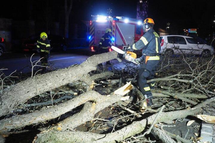 FF Biedermannsdorf: Sturmschaden – Ast auf Fahrbahn