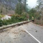 Stürmisches 4. Adventwochenende