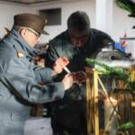 Friedenslichtabholung der Feuerwehrjugend