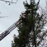 HFW Bad Ischl: Über 120 Sturmeinsätze von 21. - 23. Dezember