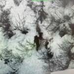 Bergrettung und Feuerwehrdrohnen retten abgestürzten Hund