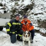 Bergrettung und Feuerwehrdrohnen retten abgestürzten Hund