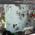 Bergrettung und Feuerwehrdrohnen retten abgestürzten Hund