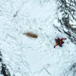 Bergrettung und Feuerwehrdrohnen retten abgestürzten Hund