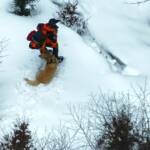 Bergrettung und Feuerwehrdrohnen retten abgestürzten Hund