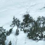 Bergrettung und Feuerwehrdrohnen retten abgestürzten Hund