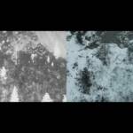 Bergrettung und Feuerwehrdrohnen retten abgestürzten Hund