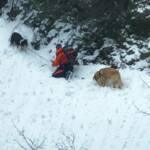 Bergrettung und Feuerwehrdrohnen retten abgestürzten Hund