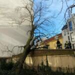 Sturm und Sturmböen sorgen für hunderte Einsätze