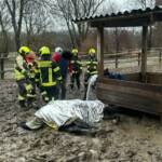 Pferderettung in Ebenfurth
