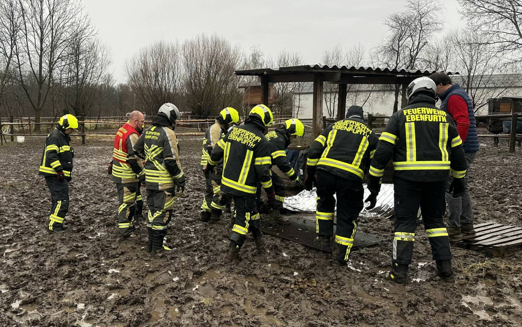 FF Ebenfurth: Pferderettung in Ebenfurth