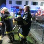 Hund bei Wohnungsbrand gerettet