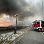Lokalbrand auf der Donauinsel neben der Reichsbrücke