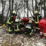 Forstunfall - Baum auf Person