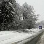Einsätze durch Schneefall im Bezirk