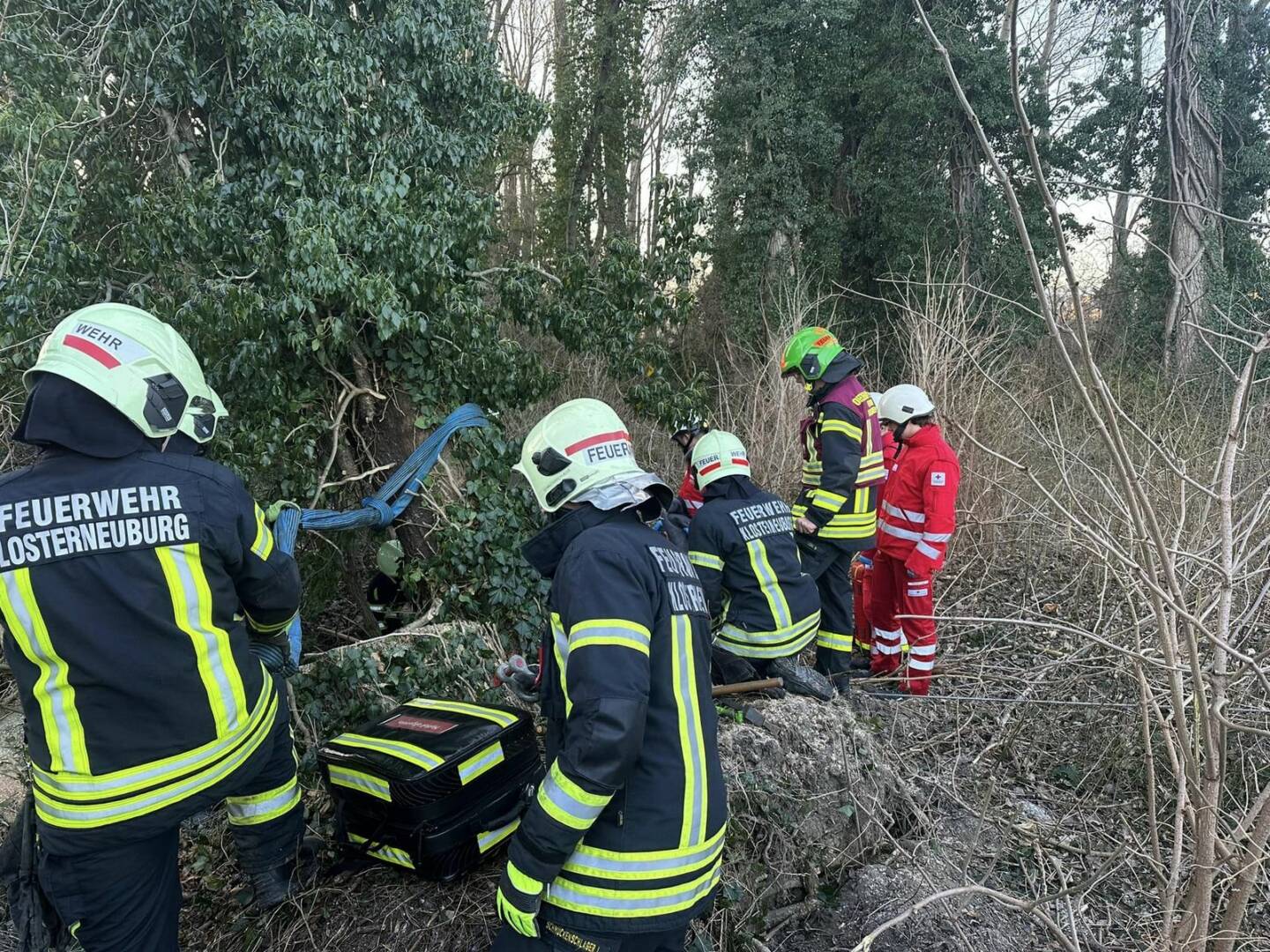 FF Klosterneuburg: Forstunfall in der Au Klosterneuburg