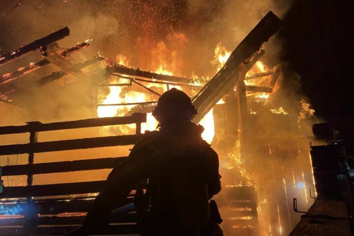 BF Wien: Brand in Kleingartensiedlung in Wien – Penzing