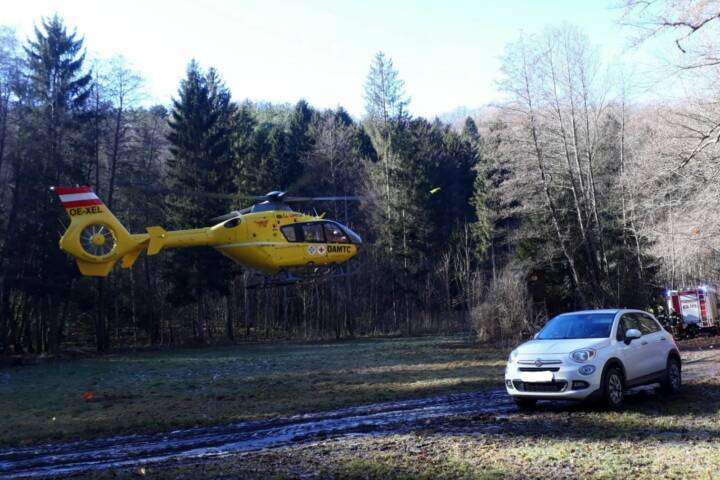 BFKDO Jennersdorf: Tragischer Forstunfall im Bezirk