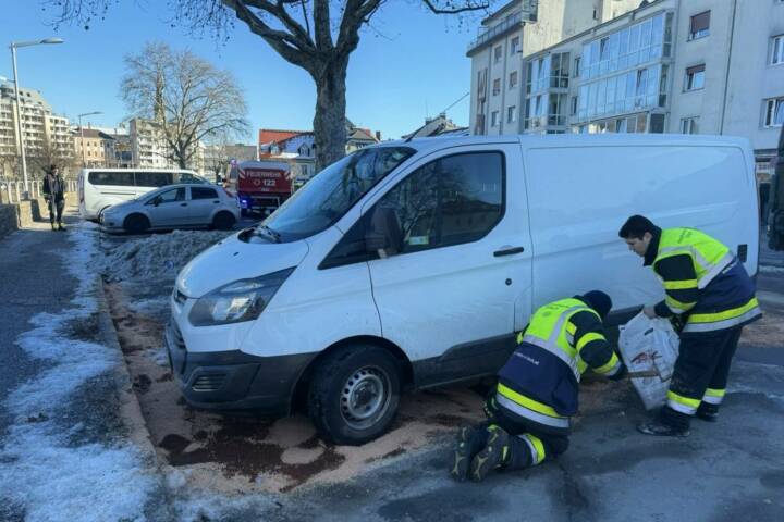 HFW Villach: Schadstoffeinsatz, Personen- und Tierrettung