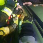 Schadstoffeinsatz, Personen- und Tierrettung