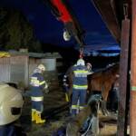 BFV Deutschlandsberg: Erfolgreiche Tierrettung