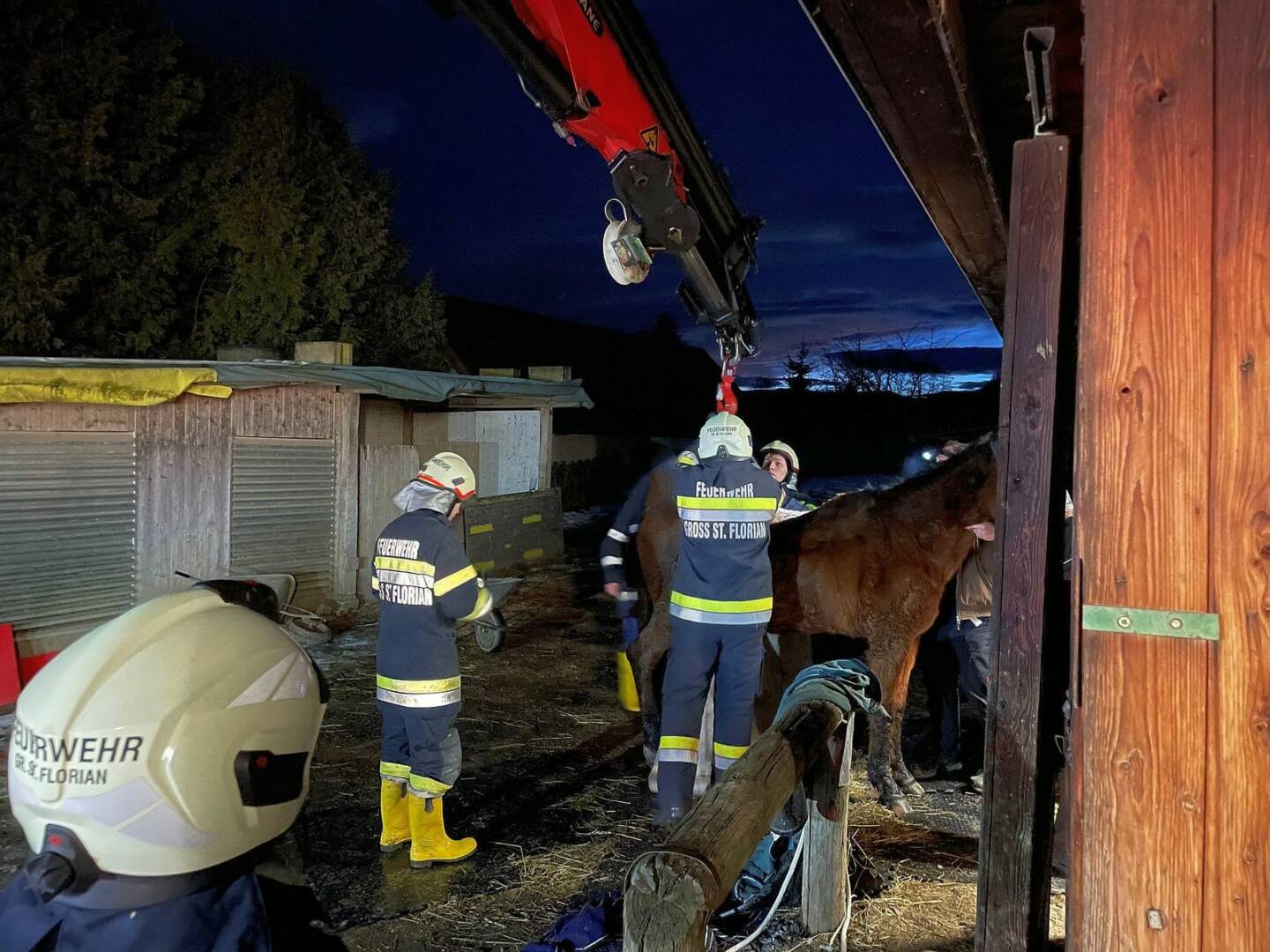 BFV Deutschlandsberg: Erfolgreiche Tierrettung