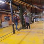 Heiße Phase des Sirenenballs beginnt