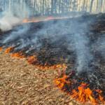 BFKDO Flachgau: Alarmstufe 2 bei Flächenbrand in Großgmain