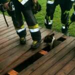 HFW Villach: Hund Kira durch Feuerwehr befreit