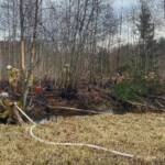 BFKDO Flachgau: Flächenbrand in Grödig – Schilf in Flammen