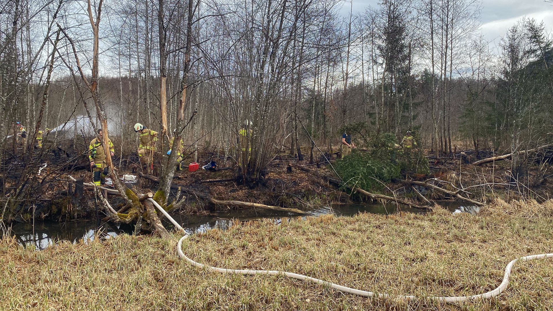 BFKDO Flachgau: Flächenbrand in Grödig – Schilf in Flammen