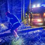 Jahresvollversammlung