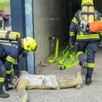 Atemschutz-Prüfung erfolgreich absolviert