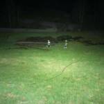 Wiesenbrand im Ortsteil Winklern