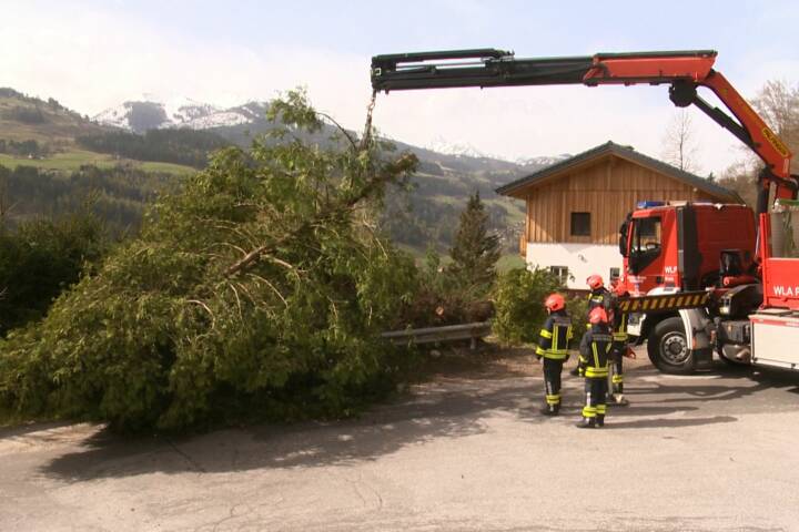 BFV Liezen: Föhnsturm im Bezirk Liezen