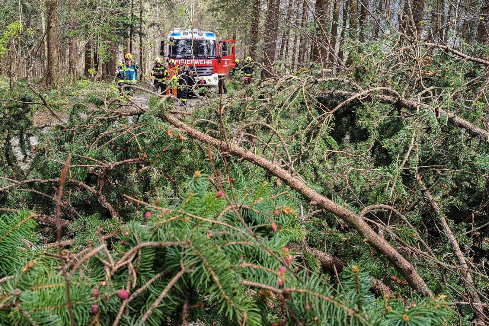 FF Bad Goisern: Sturmeinsatz am Ostermontag