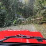 Unwettereinsätze am Ostermontag