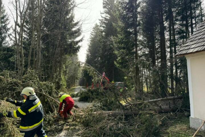 BFV Deutschlandsberg: Unwettereinsätze am Ostermontag
