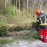 HFW Bad Ischl: Umgestürzter Baum sorgt für Einsatz