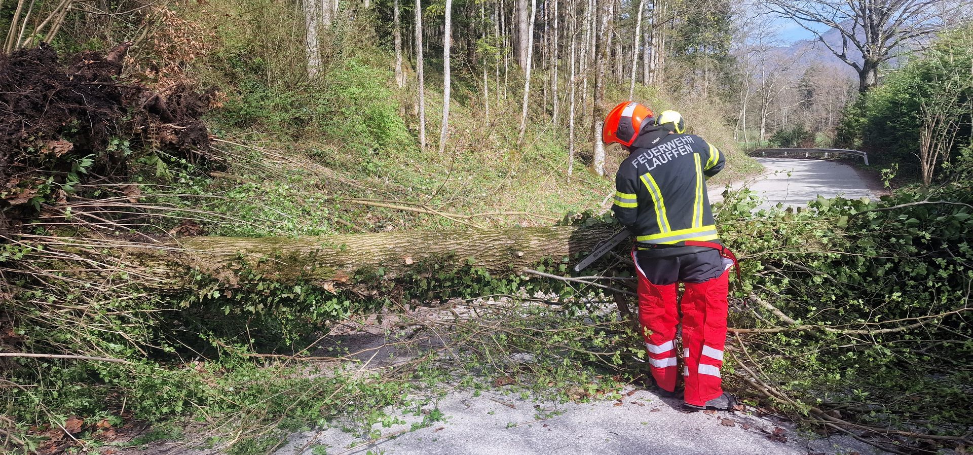 HFW Bad Ischl: Umgestürzter Baum sorgt für Einsatz