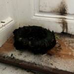 Zimmerbrand in Kremser Innenstadt