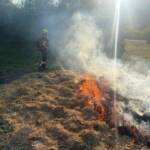 Fortbildung zum Thema Wald- und Vegetationsbrandbekämpfung des Waldbrandzuges