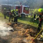 Fortbildung zum Thema Wald- und Vegetationsbrandbekämpfung des Waldbrandzuges
