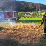 Fortbildung zum Thema Wald- und Vegetationsbrandbekämpfung des Waldbrandzuges