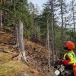 BFV Liezen: Waldbrand – BRAND-AUS in Wildalpen!