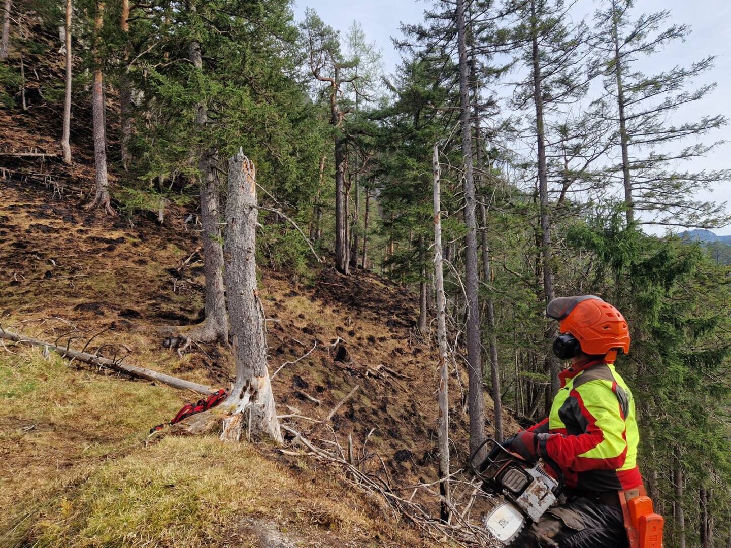 BFV Liezen: Waldbrand – BRAND-AUS in Wildalpen!
