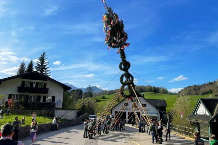 HFW Bad Ischl: Pernecker Maibaumaufstellen